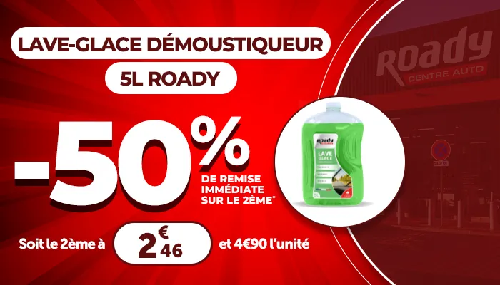Lave-glace démoustiqueur 5L ROADY - 50% de remise immédiate sur le 2ème