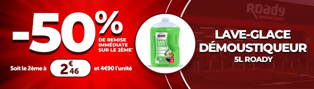 Lave-glace démoustiqueur 5L ROADY - 50% de remise immédiate sur le 2ème