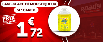 Lave-glace démoustiqueur 5L