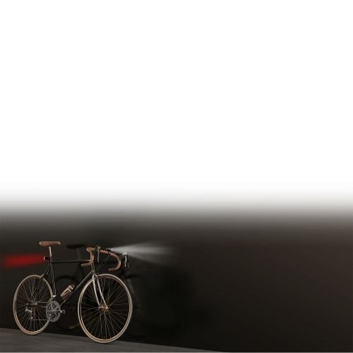 Lumière TNB 2 LED pour roue vélo