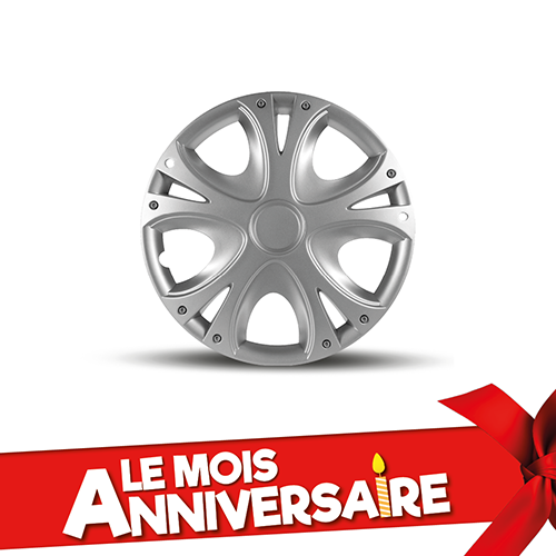 4 Enjoliveurs CAR Comfry Silver 15