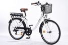 Vélo à assistance électrique Pure 1.0 10,4 Ah