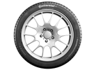 Pneu CONTINENTAL ContiWinterContact TS 830 P 205/55R16 91H 