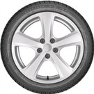 Pneu GOODYEAR Ultragrip Performance 2 245/55R17 102H 