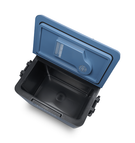 Glacière 42L IE42 IGLOO