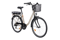 Vélo électrique E-WAY 13 Ah TVT