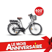 Vélo à assistance électrique Pure 1.0 10,4 Ah