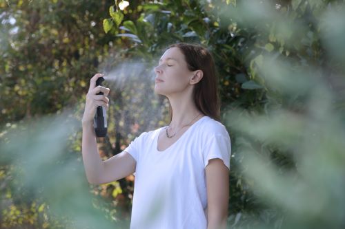 Brumisateur à eau noir