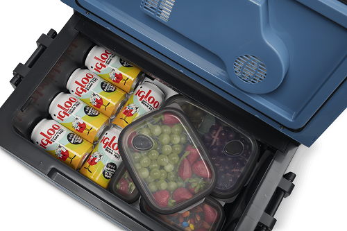 Glacière 42L IE42 IGLOO